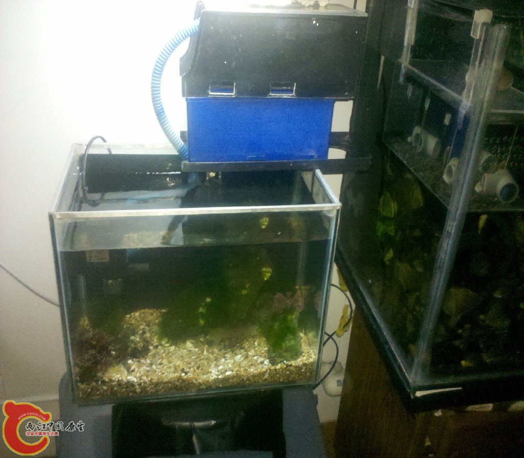 2012-11-03_22-15-21_309.jpg