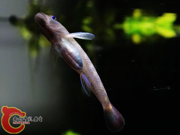 nEO_IMG_nEO_IMG_DSC02213.jpg