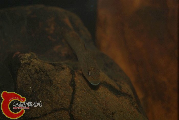 东 (20).JPG