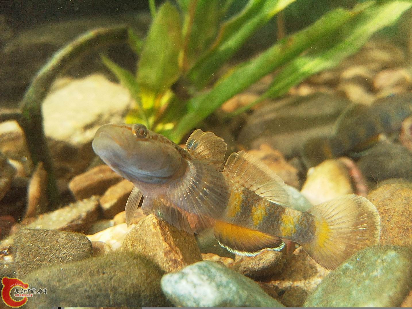 照片3302.jpg