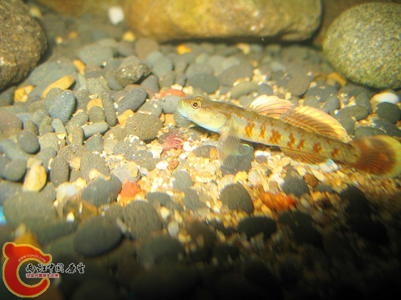 IMG_1281.jpg