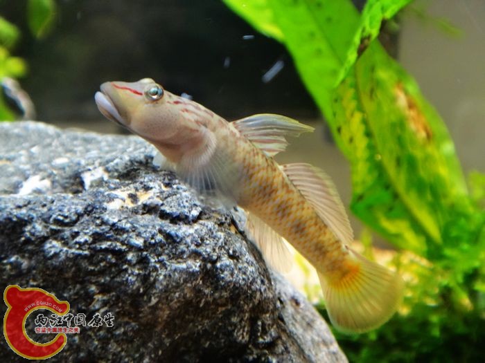 nEO_IMG_DSC02231.jpg