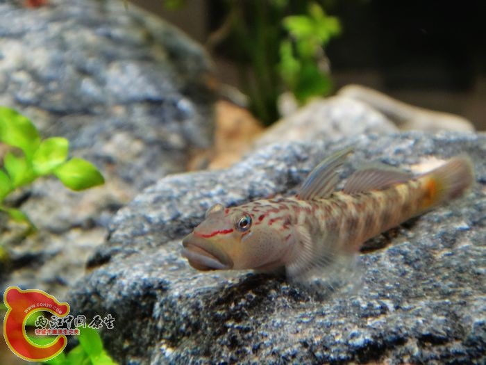 nEO_IMG_DSC02244.jpg