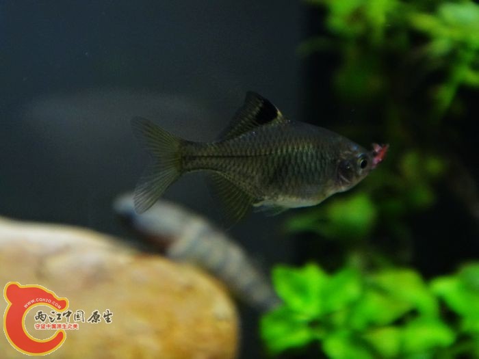 nEO_IMG_DSC02254.jpg