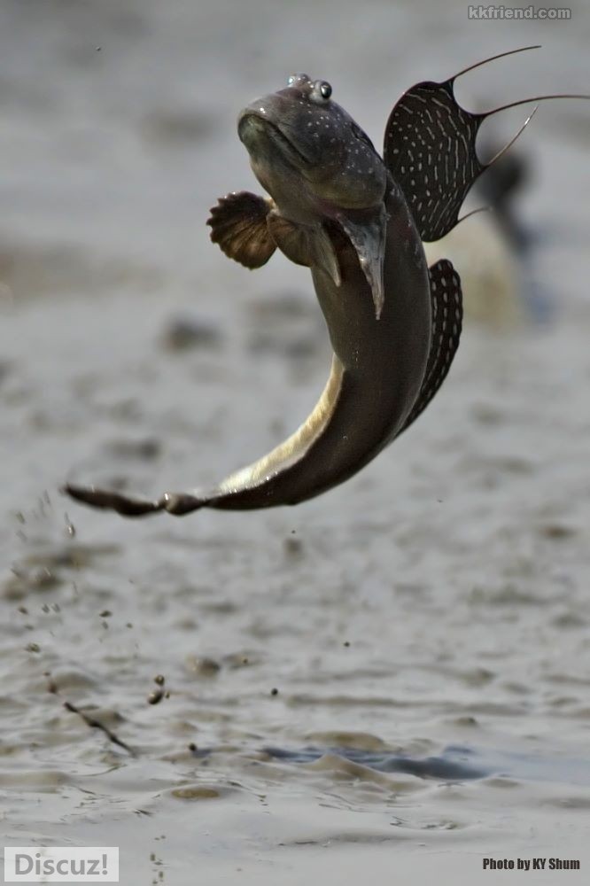 20100517_9a7e2b0f5586a5f48deeJmgZ6oP4Xcgb.jpg