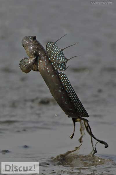 20120216230515_26424.jpg