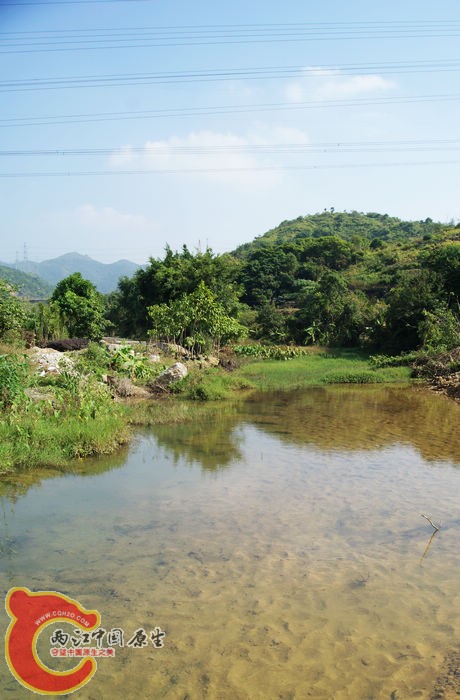 米虾 (14).JPG