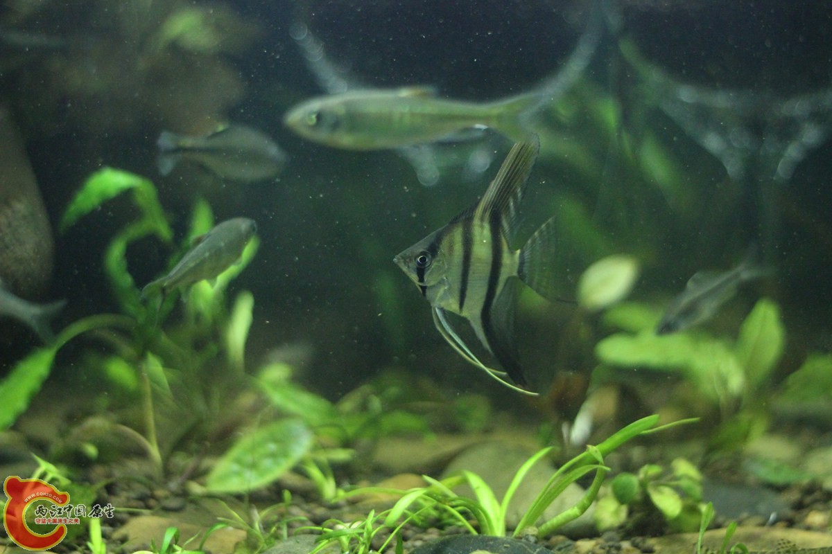 IMG_9581_副本.jpg