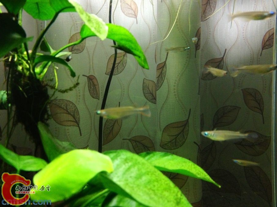 020840xknn105ksx5u5xjk.jpg