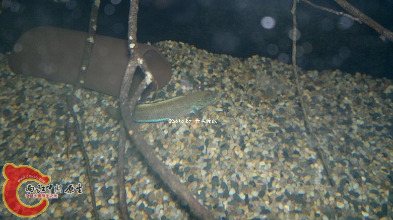 201211162986.jpg