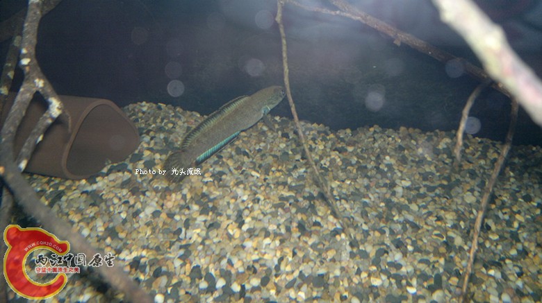201211162989.jpg