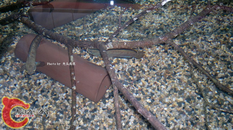 201211162991.jpg