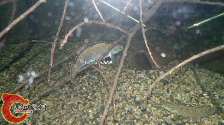 201211162999.jpg