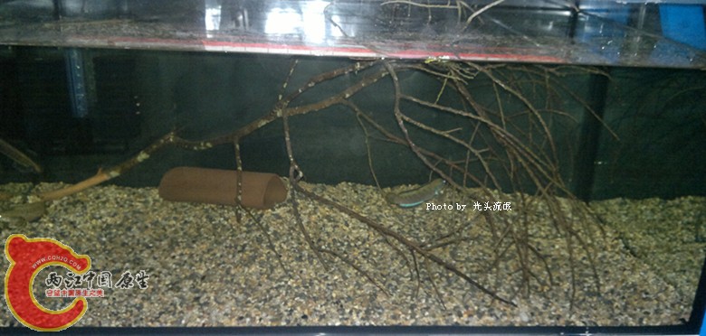 201211163001.jpg