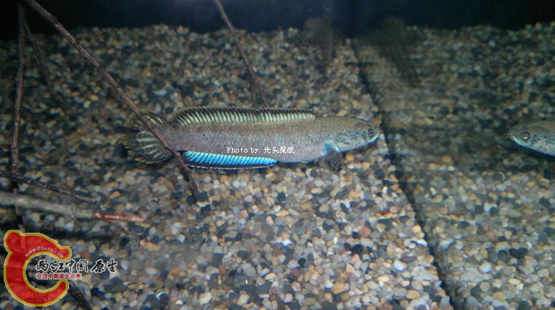 201211163000.jpg