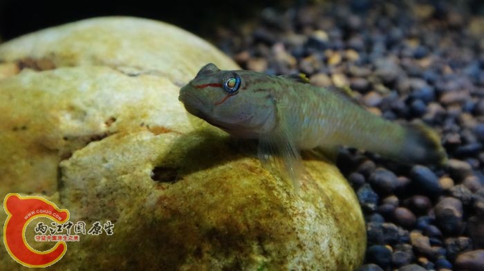 nEO_IMG_DSC02280.jpg