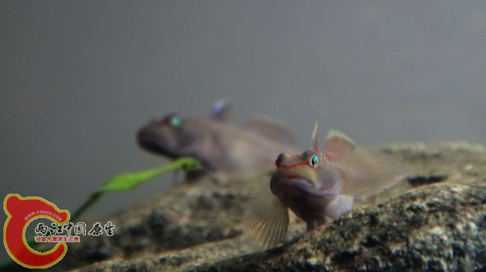 nEO_IMG_DSC02365.jpg