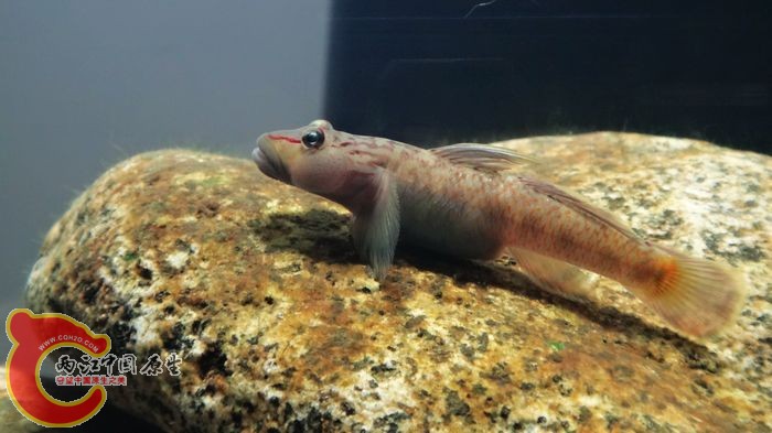 nEO_IMG_DSC02372.jpg