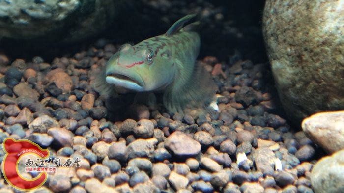nEO_IMG_DSC02376.jpg