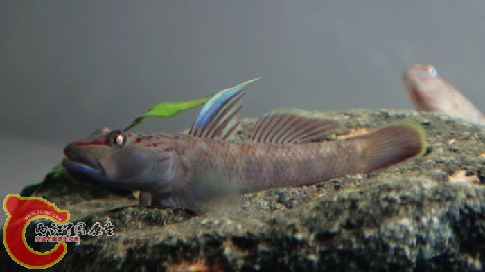nEO_IMG_DSC02404.jpg