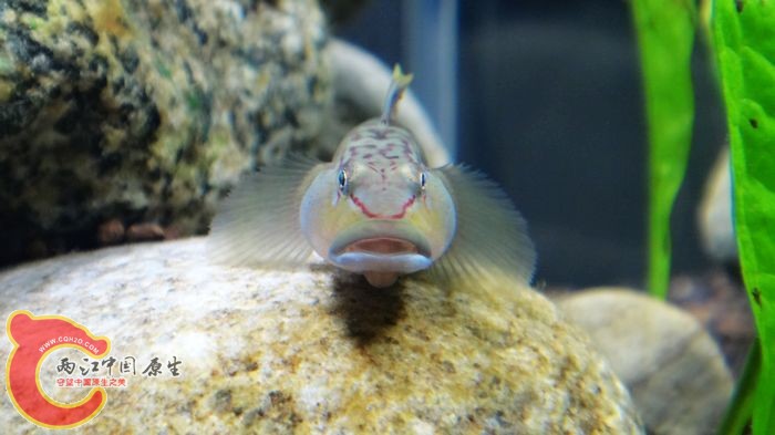 nEO_IMG_DSC02413.jpg