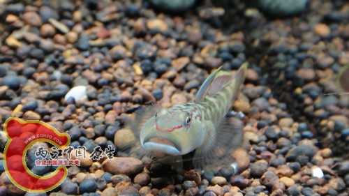 nEO_IMG_DSC02423.jpg
