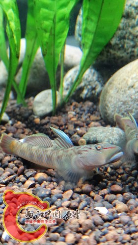 nEO_IMG_DSC02424.jpg