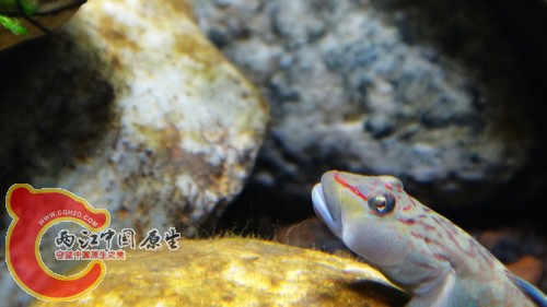 nEO_IMG_DSC02428.jpg