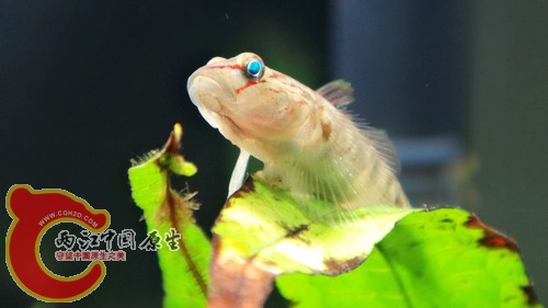 nEO_IMG_DSC02432.jpg