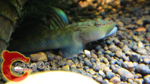 nEO_IMG_DSC02437.jpg