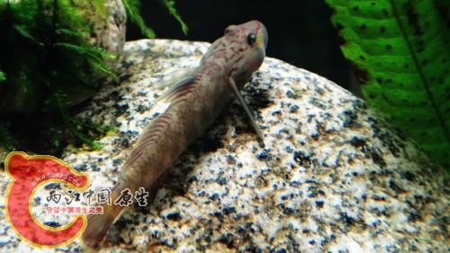 nEO_IMG_DSC02435.jpg