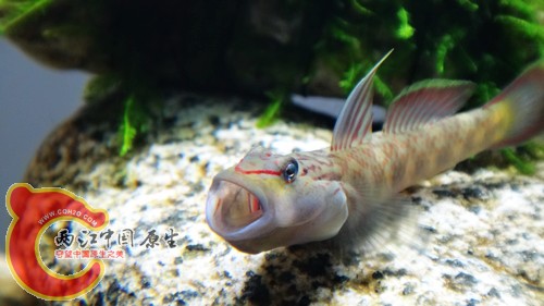 nEO_IMG_DSC02440.jpg