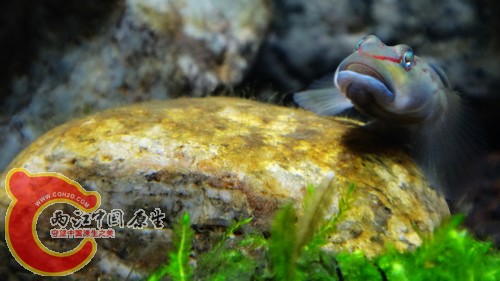 nEO_IMG_DSC02443.jpg