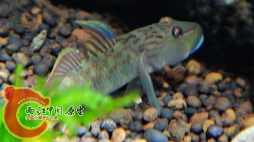 nEO_IMG_DSC02444.jpg