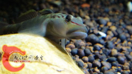 nEO_IMG_DSC02457.jpg