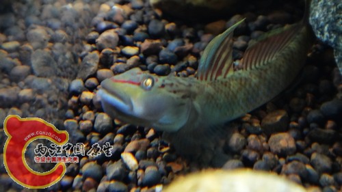 nEO_IMG_DSC02456.jpg