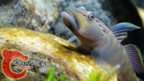 nEO_IMG_DSC02460.jpg