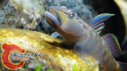 nEO_IMG_DSC02459.jpg