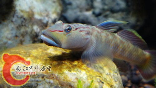 nEO_IMG_DSC02458.jpg