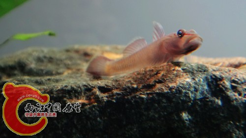 nEO_IMG_DSC02462.jpg
