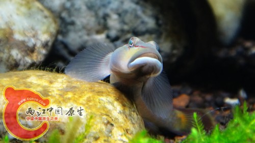 nEO_IMG_DSC02461.jpg