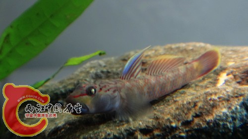 nEO_IMG_DSC02463.jpg