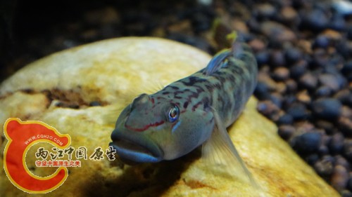 nEO_IMG_DSC02464.jpg