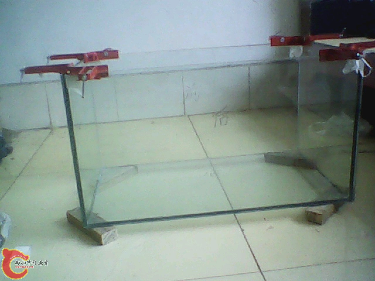 img0825_165316113.jpg