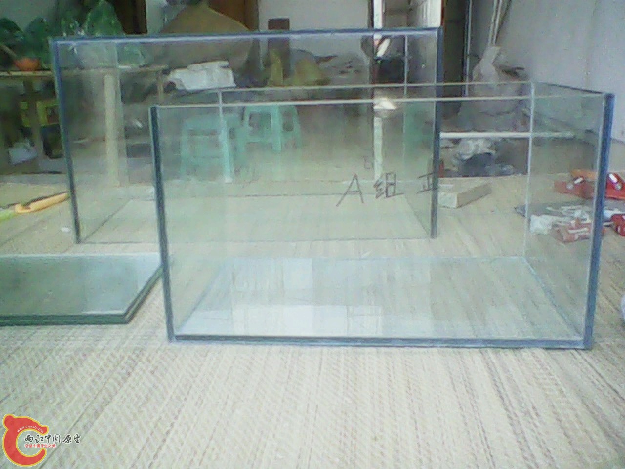 img0826_131325715.jpg