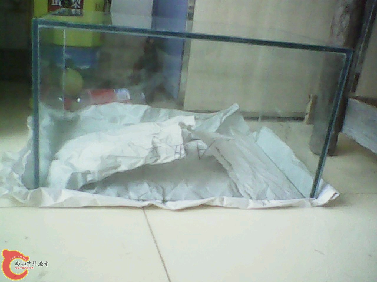 img0824_171053081.jpg