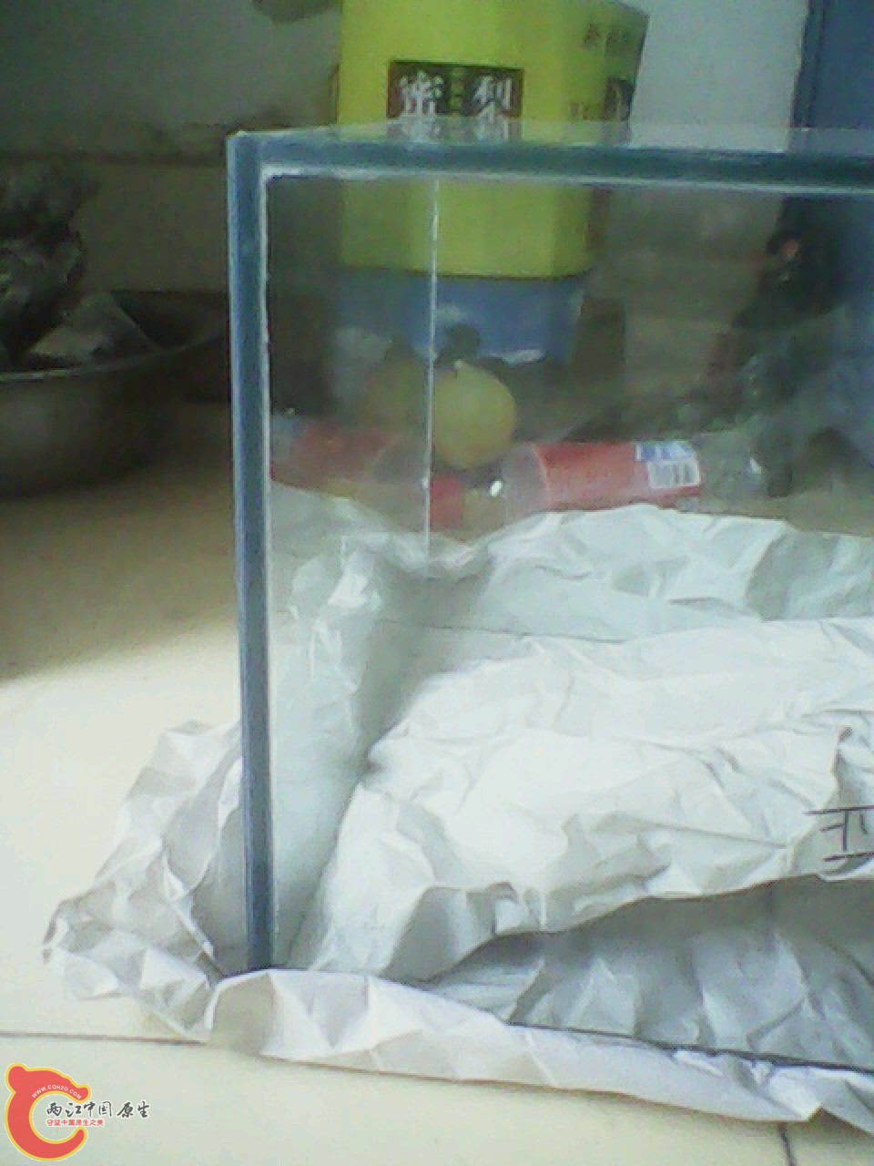 img0824_171125474.jpg