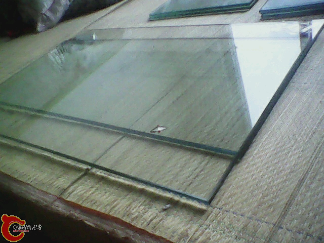 img0824_171156390.jpg