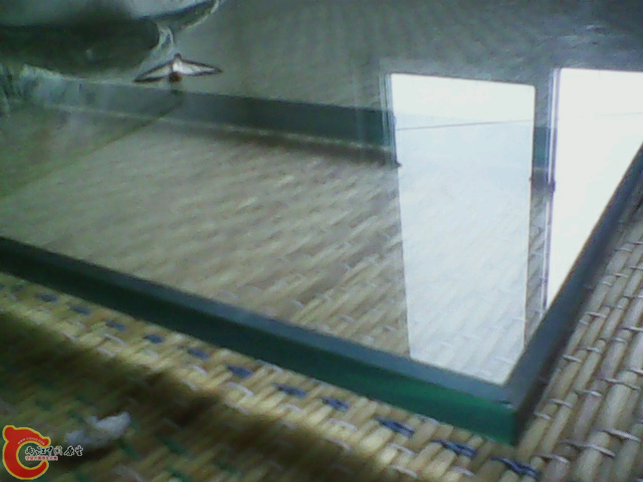 img0824_171210963.jpg