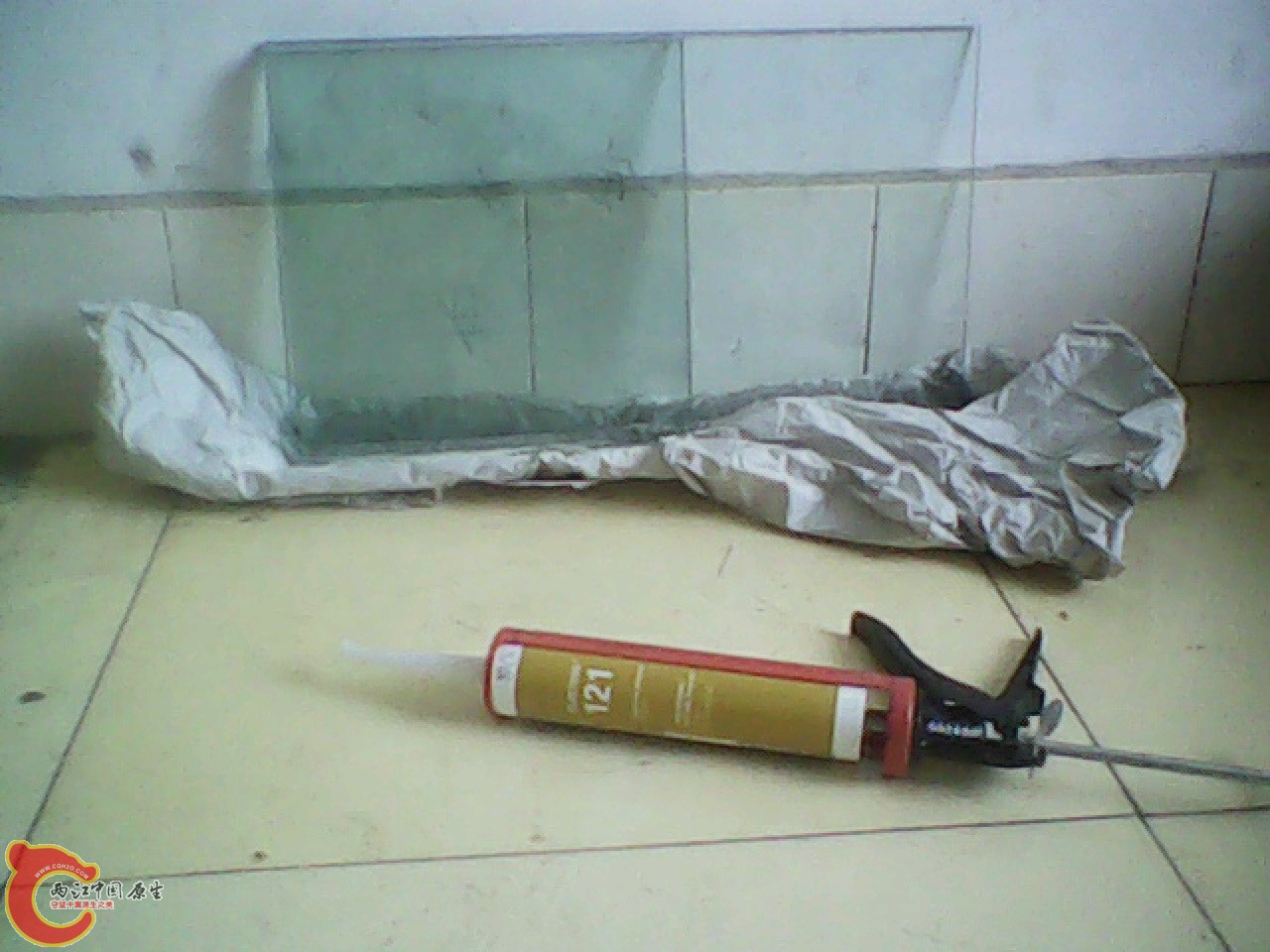 img0824_171301496.jpg